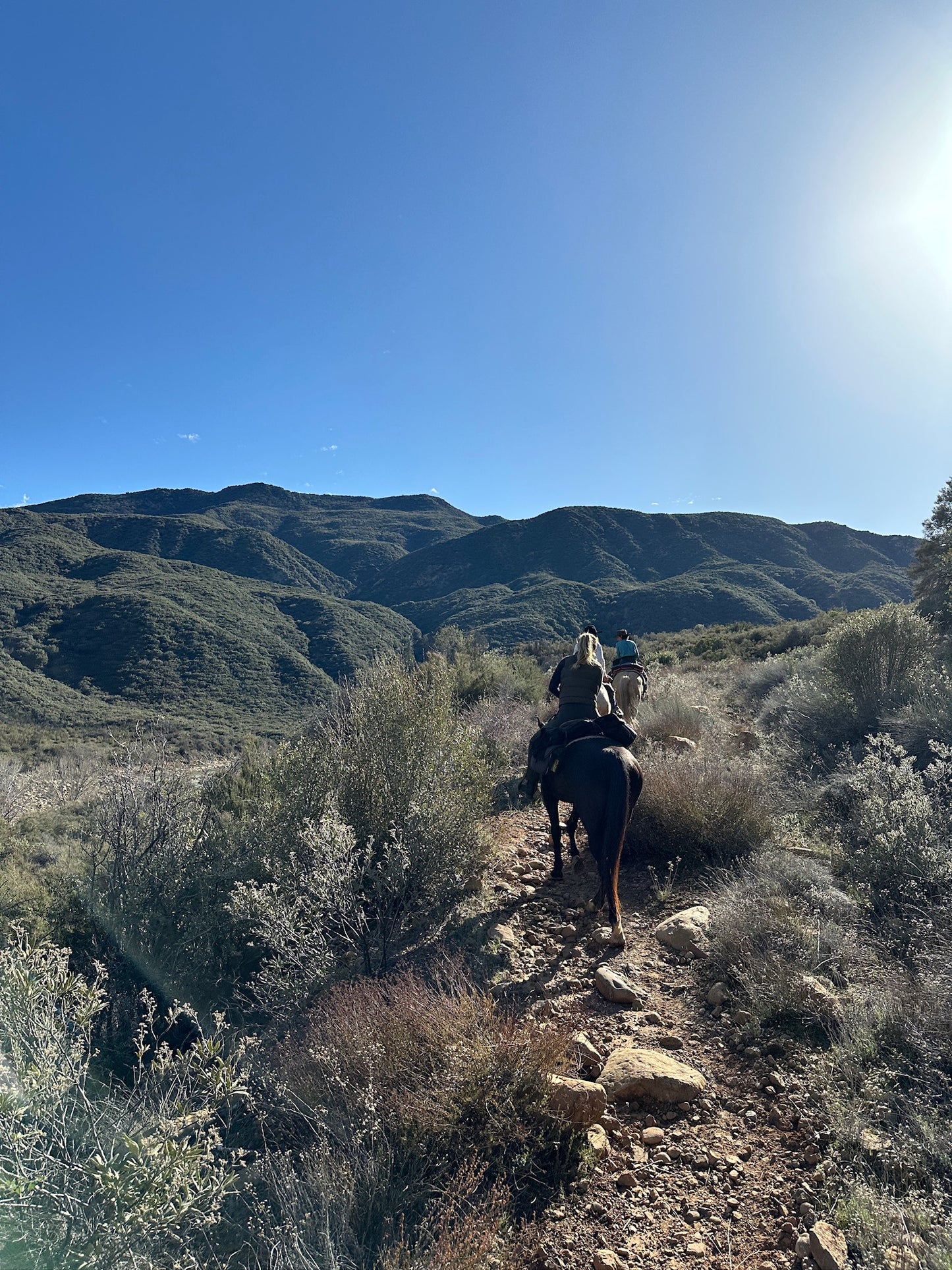 3 Day Solo Retreat