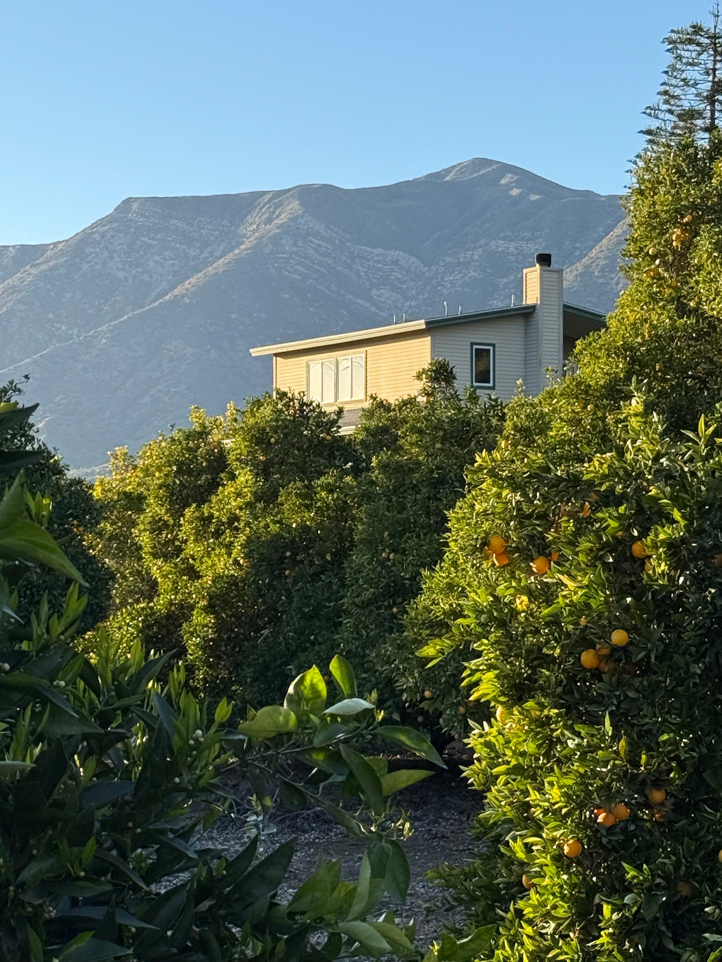 3 Day Solo Retreat